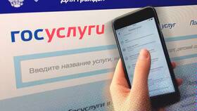Через сколько на Госуслугах исчезнет задолженность в ЭССЕН