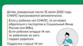 Что означает слово СНИЛС в ЭССЕН