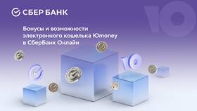 Что такое кошелек в Сбербанке в ЭССЕН