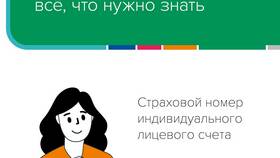 Что значит страховой номер индивидуального лицевого счета (СНИЛС) в ЭССЕН