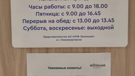 Эволюция НПФ: что это за организация в ЭССЕН