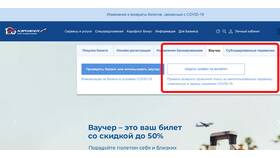 Как написать в поддержку Аэрофлота в ЭССЕН