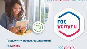 Как оформить родовые выплаты через Госуслуги в ЭССЕН