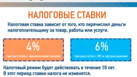 Как оплатить налог на профессиональный доход (НПД) в ЭССЕН