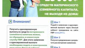 Как подать документы через Пенсионный фонд в ЭССЕН