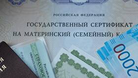 Как подать заявление на материнский капитал в ЭССЕН