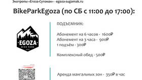 Как получить лес на дрова через портал Госуслуги в ЭССЕН