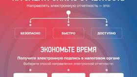 Как позвонить в налоговую для консультации в ЭССЕН