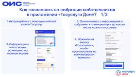 Как проголосовать через Госуслуги в ЭССЕН