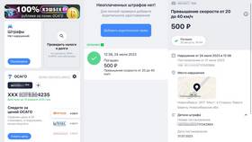 Как проверить штрафы ГИБДД на Госуслугах в ЭССЕН