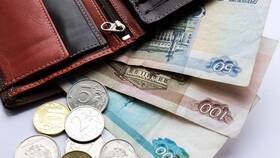 Сбербанк в кошельке: что значит наличие денег в ЭССЕН