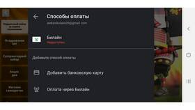 Способы пополнения карты Билайн в ЭССЕН