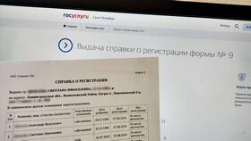 Сроки изготовления справок через Госуслуги в ЭССЕН