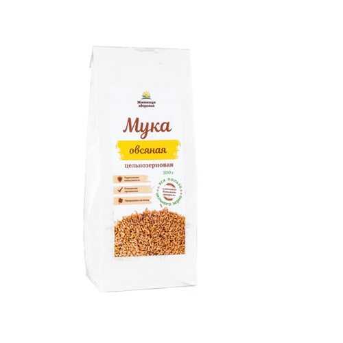 Мука овсяная цельнозерновая Житница здоровья 0.5 кг в ЭССЕН