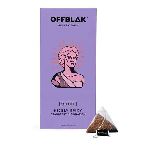 Чайный напиток OFFBLAK NICELY SPICY 12х2.5г Россия в ЭССЕН